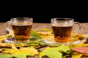 50 Fresh Ginkgo Biloba Leaves For Tea & Supplements - Free Shipping